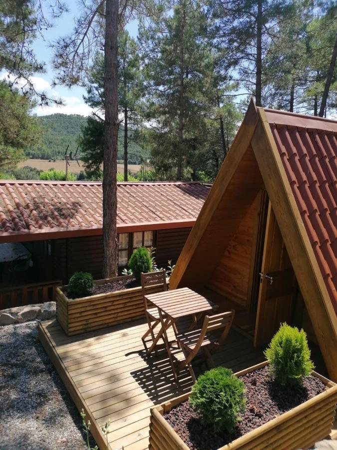 Camping La Ribera Salada Ogern エクステリア 写真