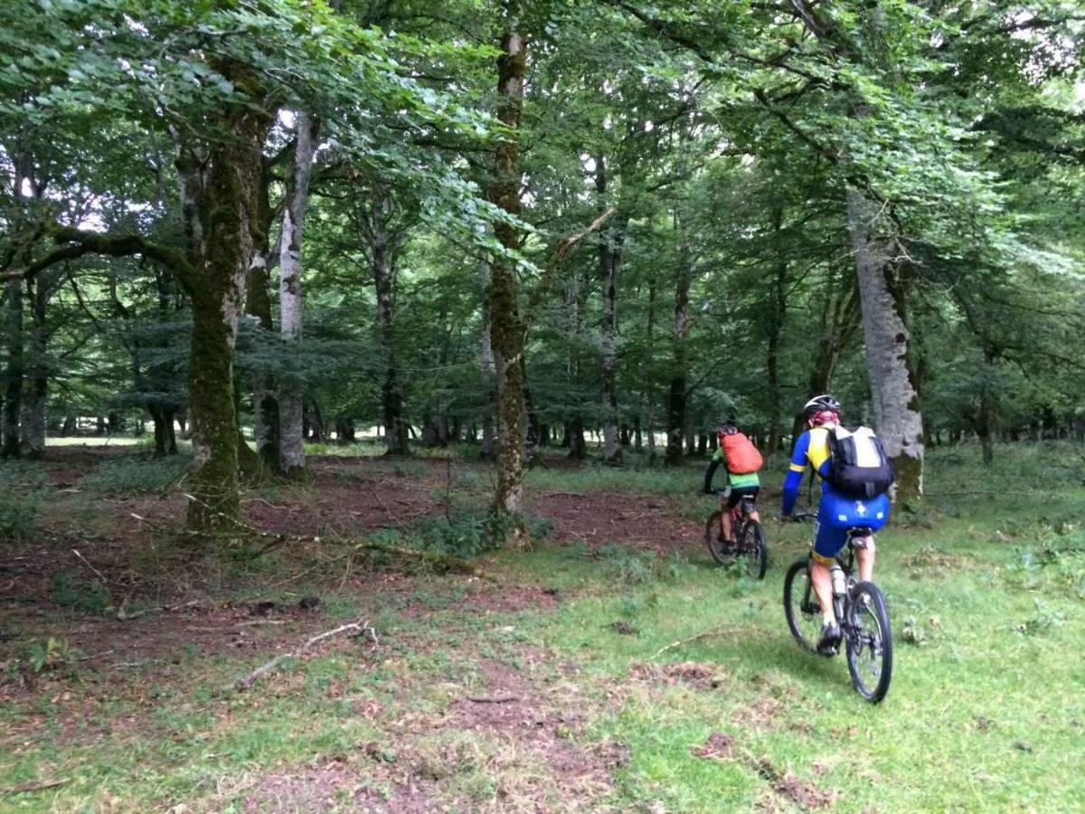 Camping La Ribera Salada Ogern エクステリア 写真
